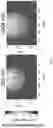 Fig. 09 - System and method for an optical blood flow measurement