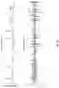 Fig. 12 - Assessing diseases by analyzing gait measurements