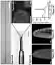 Fig. 05 - DIAMOND-CONTAINING ELECTRODES FOR NEUROCHEMICAL DETECTION