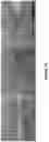 Fig. 16 - DIAMOND-CONTAINING ELECTRODES FOR NEUROCHEMICAL DETECTION