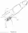 Fig. 06 - Wearable device for healthcare and method thereof