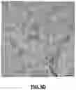Fig. 07 - Biopsy device for coherent Raman imaging