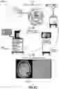 Fig. 27 - Biopsy device for coherent Raman imaging