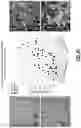 Fig. 33 - Biopsy device for coherent Raman imaging