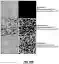 Fig. 35 - Biopsy device for coherent Raman imaging