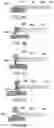 Fig. 07 - Endoscopy tools and methods of use