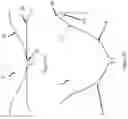 Fig. 09 - Systems and methods for delivering an implantable device