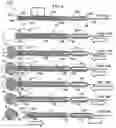 Fig. 05 - Aneurysm method and system
