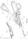 Fig. 28 - Surgical instrument with removable portion to facilitate cleaning