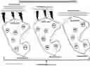 Fig. 01 - Cryosystem comprising nanoparticles for treating a body part of an individual by cryotherapy