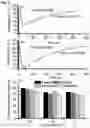 Fig. 03 - Cryosystem comprising nanoparticles for treating a body part of an individual by cryotherapy