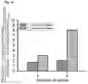 Fig. 13 - Cryosystem comprising nanoparticles for treating a body part of an individual by cryotherapy