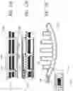 Fig. 11 - Medical device for use in bodily lumens, for example an atrium