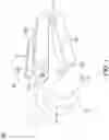 Fig. 02 - Vibration device for dental use and orthodontic correction method