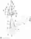 Fig. 03 - Vibration device for dental use and orthodontic correction method