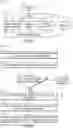 Fig. 18 - Removable dental appliance including positioning member