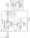Fig. 19 - Removable dental appliance including positioning member