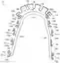 Fig. 01 - Dental appliances, systems and methods
