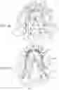 Fig. 45 - Dental appliances, systems and methods