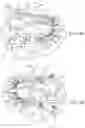 Fig. 46 - Dental appliances, systems and methods