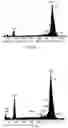 Fig. 06 - Dental zirconia system
