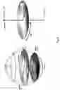 Fig. 09 - Dental zirconia system