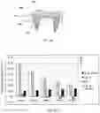 Fig. 11 - Dental zirconia system