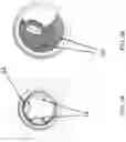 Fig. 04 - Dental implant analog