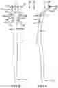 Fig. 03 - Dental floss device