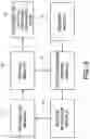 Fig. 06 - Method and device for localized intravascular therapy