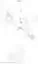 Fig. 02 - Magnetic vascular access graft