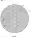 Fig. 08 - Implants assembled from skeletal polyhedron unit cells, coiled unit cells or mesh unit cells