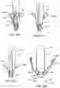 Fig. 32 - Prosthetic heart valve devices and associated systems and methods