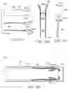 Fig. 45 - Prosthetic heart valve devices and associated systems and methods