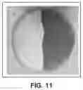 Fig. 12 - Bioactive soft tissue implant and methods of manufacture and use thereof