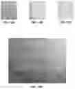 Fig. 13 - Bioactive soft tissue implant and methods of manufacture and use thereof