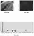 Fig. 17 - Bioactive soft tissue implant and methods of manufacture and use thereof