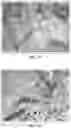 Fig. 18 - Bioactive soft tissue implant and methods of manufacture and use thereof