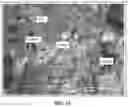 Fig. 20 - Bioactive soft tissue implant and methods of manufacture and use thereof