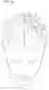Fig. 12 - ULTRA-SOUND COMPATIBLE ARTIFICIAL CRANIAL PROSTHESIS WITH CUSTOMIZED PLATFORMS