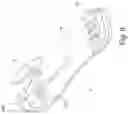 Fig. 12 - PROSTHETIC FOOT