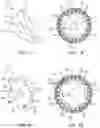 Fig. 08 - Medical device delivery