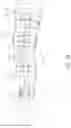 Fig. 19 - Inflatable flexion-correcting knee brace