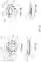 Fig. 10 - Method and apparatus for restraint anchor