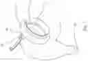 Fig. 02 - URETHRAL CATHETERIZATION STRUCTURE