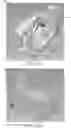 Fig. 36 - Cooling cap assembly and cooling unit