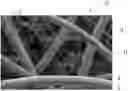 Fig. 01 - Dark-tinted nonwoven webs
