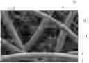 Fig. 01 - Dark-tinted nonwoven webs