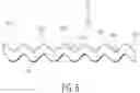 Fig. 06 - ABSORBENT ARTICLE WITH IMPROVED FLUID HANDLING