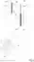 Fig. 04 - Absorbent article and method for manufacturing an absorbent article
